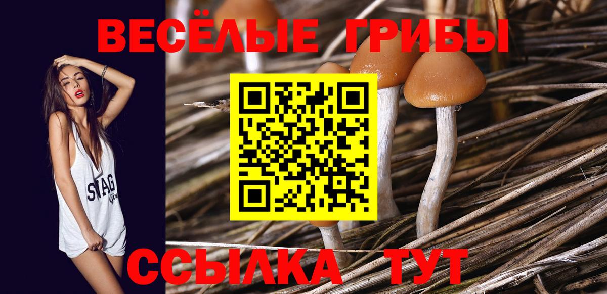 Галлюциногенные грибы мицелий  Галлюциногенные грибы прущие грибы  Вход с VPN  Сухой Лог 